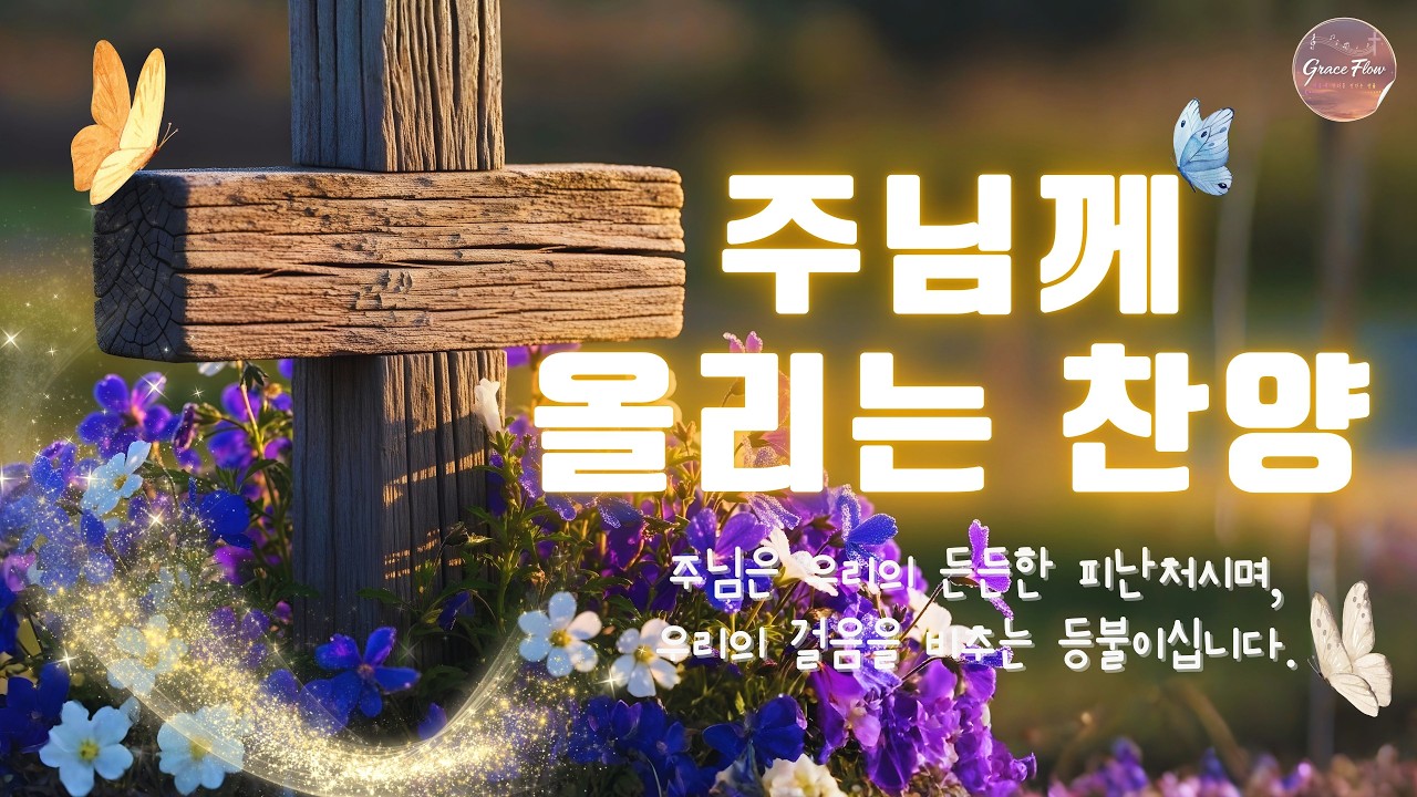 예배 때 가장 많이 불리는 찬송가 🌺내 인생 최고의 칭찬 CCM 50 🌻 감사의 마음으로 찬송을 바친다