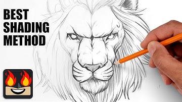 How To Draw a Lion | Step by Step Sketch Tutorial