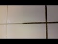 How to clean dirty grout lines the simple way by Dahlia. How to clean dirty grout lines the simple way by Dahlia.