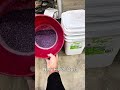 Humiflow Rate Testing