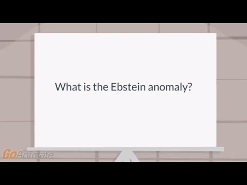 What is the