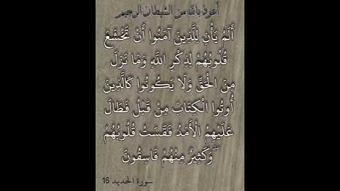 سورة الحديد آية 16 للقارئ سعد الغامدي ... حالة واتساب