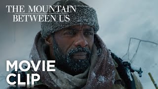 The Mountain Between Us | 