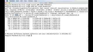 4.3.6 Parallelizing Loop 5
