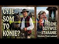 CYJE SOM TO KONIE - BIESIADA GÓRALSKA / MUZYKA LUDOWA - HITY Z AMATORSKIEJ PŁYTY (Official audio)