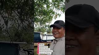 On The Banks Of The Sekarmayang River In The Village Of Bulupayung Patimuan