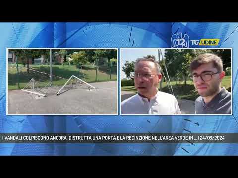 I VANDALI COLPISCONO ANCORA: DISTRUTTA UNA PORTA E LA RECINZIONE NELL'AREA VERDE IN ... | 24/08/2024