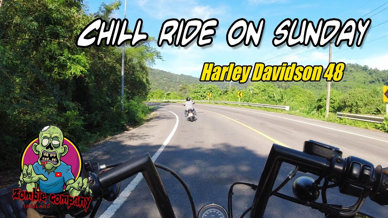 Chill ride on sunday | Harley Davidson 48 #harley #harleydavidson # ...