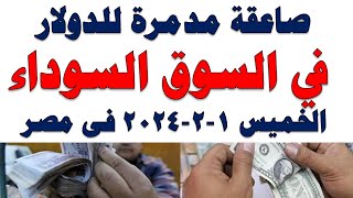 سعر الدولار اليوم | أسعار الدولار اليوم /اسعار الدولار السوق السوداء اليوم في مصر الخميس 2024/2/1