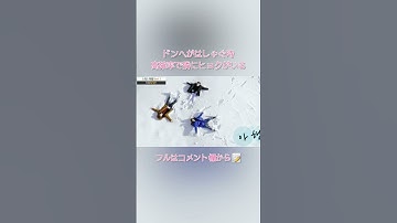 赤子すぎるイ・ドンへ👶 #superjunior #sj #슈퍼주니어 #スーパージュニア #スジュ #donghae #ドンへ　#eunhyuk