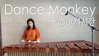 [1hour/1시간]마림바/Dance Monkey - Tones and I / Marimba cover