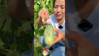 Beautiful Nature - Inspur Fresh Fruit Wonderful Video Of Industry