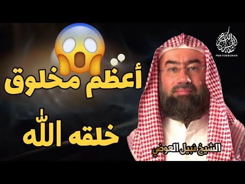 أروع قصة سمعتها ستبكي قصة مولد أعظم مخلوق خلقة الله نبيل العوضي