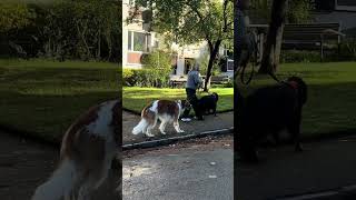 картинка: Другой Стокгольм 🇸🇪. Район Hökarängen. 