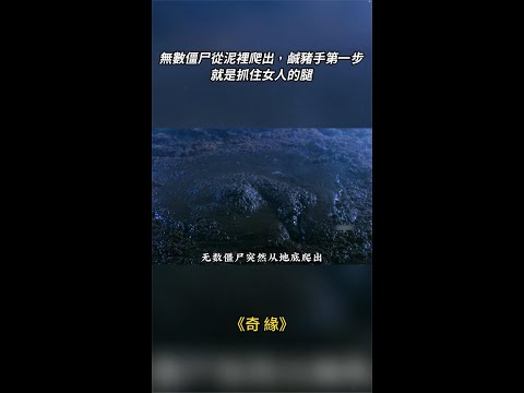 無數僵尸從泥裡爬出，鹹豬手第一步就是抓住女人的腿#影視#電影#好劇推薦#shorts