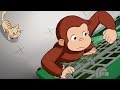 Jorge el Curioso en Español 🐵 Liberen a Hundley 🐵 Episodio Completo 🐵 Caricaturas Para Niños