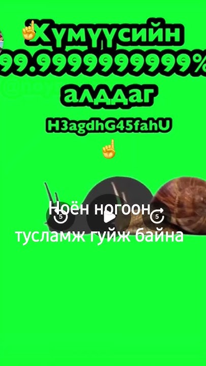 Ноён ногоон биднээс тусламж гуйж байна бүгдээрээ туслая - YouTube