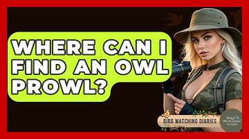 Where Can I Find An Owl Prowl? - Bird Watching Diaries