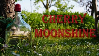 Making Booze In My Backyard