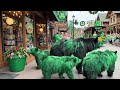 ☘️ Happy St Patrick's Day! Looks like they dyed the bears GREEN today to celebrate.