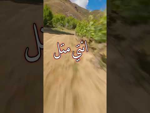بنت عمي بنت العز  تصميم عبارات