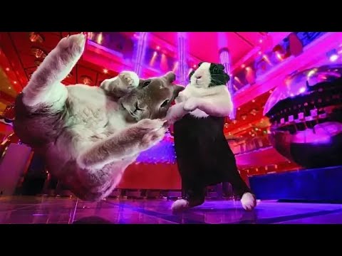 светомузыка. ссылка на