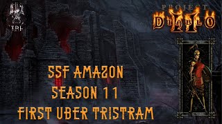 Project Diablo 2 Season 11 SSF Amazon - Ubers and  Hellfire Torch