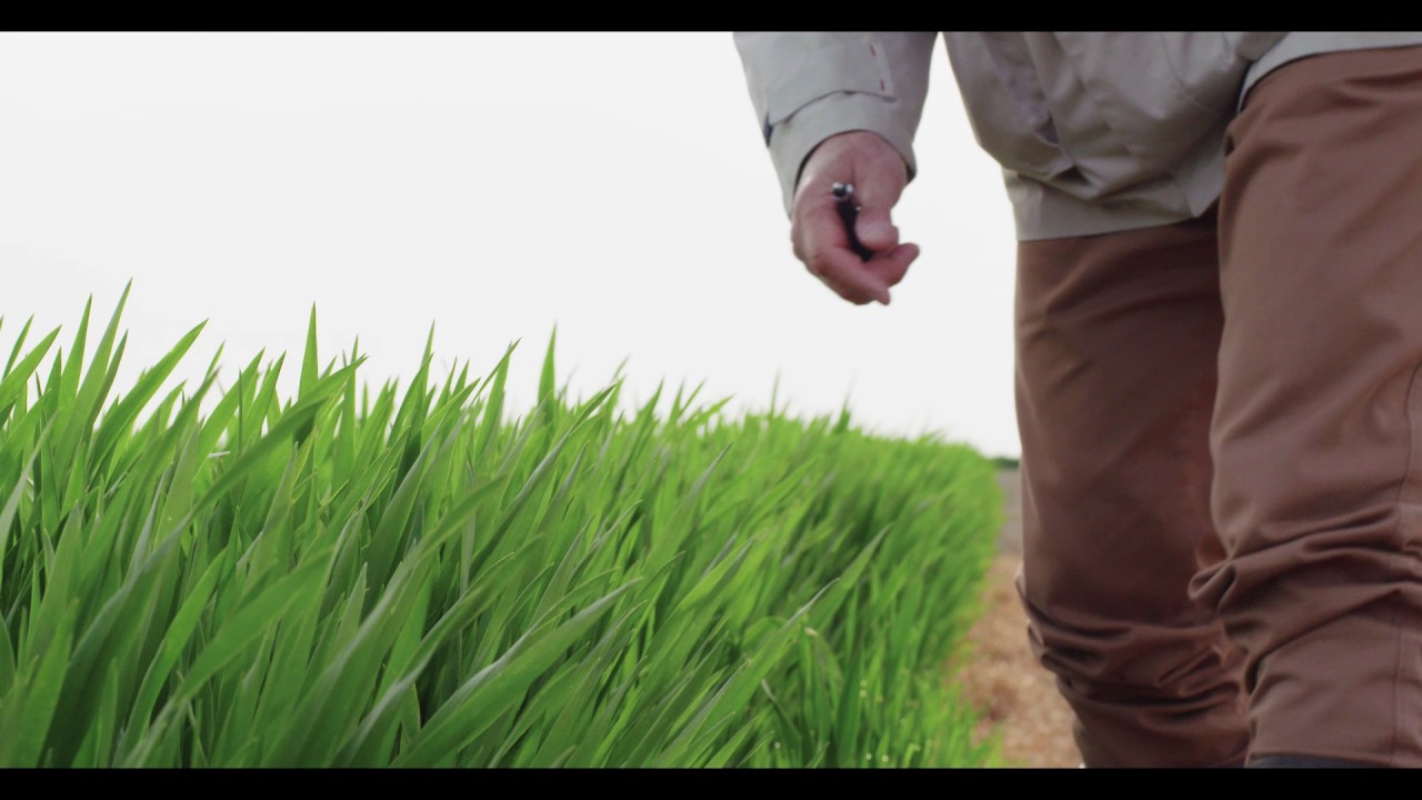 Discovering ELATUS™ ERA