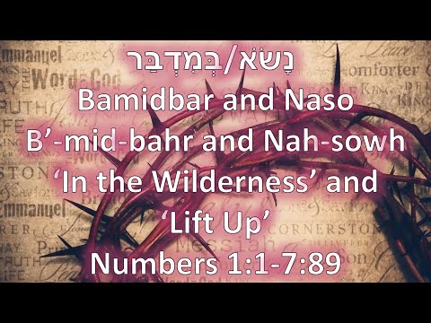 In the Wilderness and Lift Up (Torah Portions: Bamidbar and Naso) 2020 - 2021