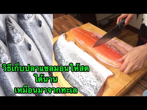 วิธีเก็บปลาแซลมอนให้สดได้นาน | salmon | how to keep salmon | #4 | KKD CHANNEL