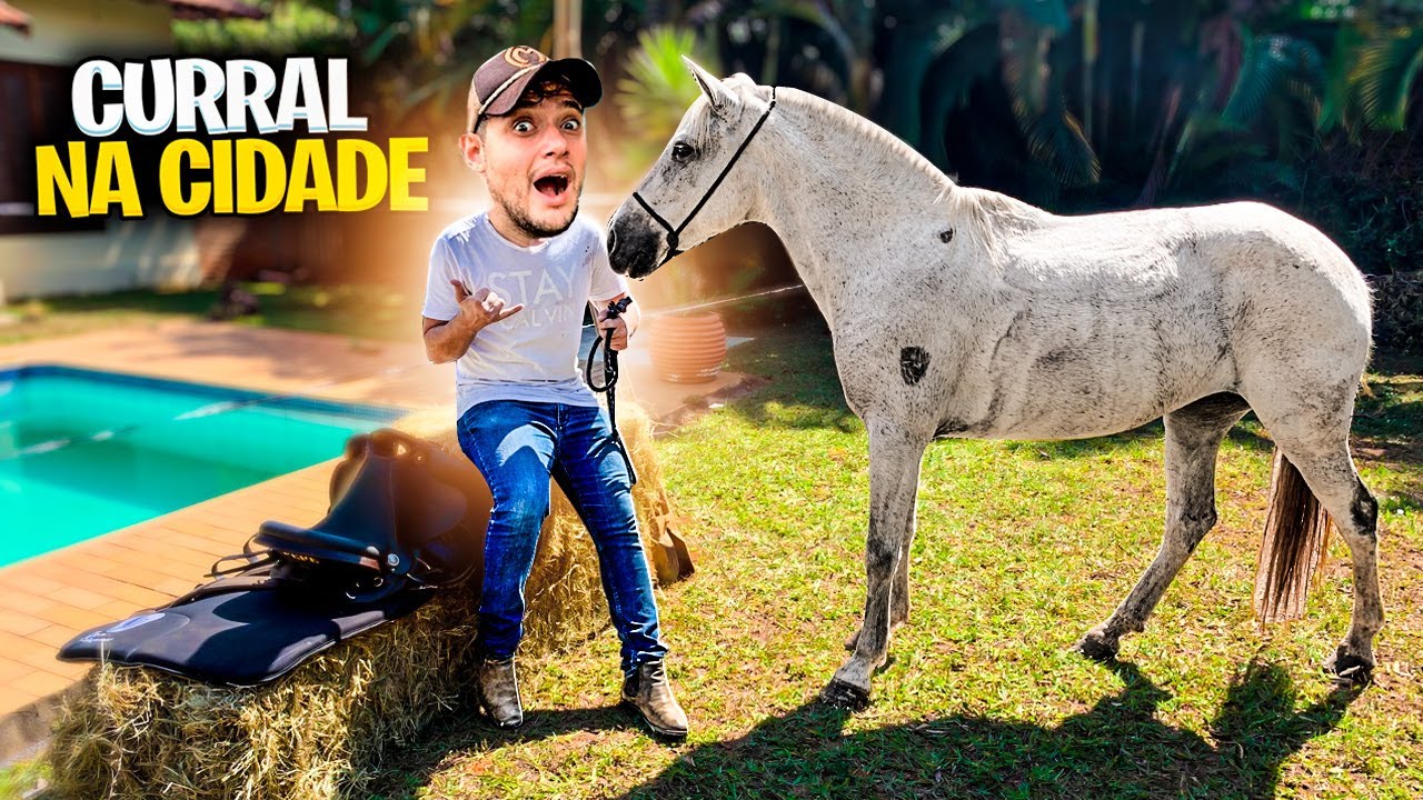 Cavalo usa 'estratégia inteligente' para fugir do curral e vídeo se torna  viral nas redes sociais – Metro World News Brasil