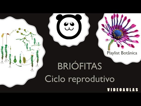 Briófitas - Ciclo