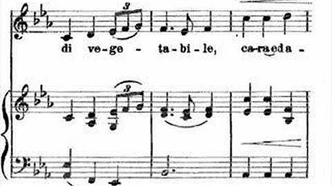 Handel - Serse "Ombra mai fu" - Lorraine Hunt-Lieb...