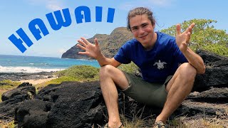 WILDerland - WILD Hawaii