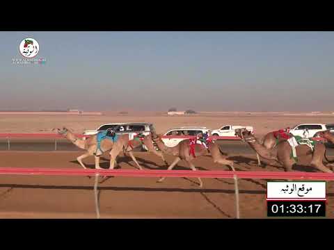 الشوط 10 المنتحر ل خميس سعيد أحمد الكعبي 4 34 شارة الاتحاد 2021 11 27 حقايق سويحان