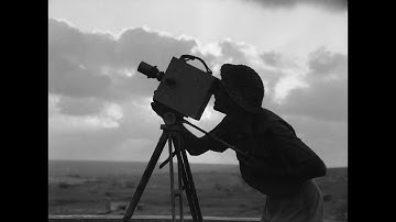 A Non-Prolific 1/35th Scale Model Builder & Felis Barcinonensis Production...