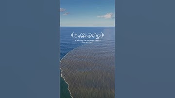 ياسر الدوسري | سورة الرحمن