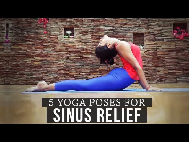 5 Yoga Poses For Sinus Relief Youtube 5 Yoga Poses For Sinus Relief Youtube
