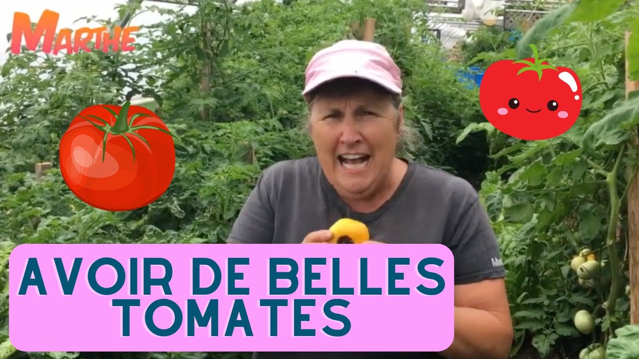 Comment avoir de belles tomates? Partie 1- Compilation horticole