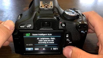 How To Use Self Timer - DSLR Tips