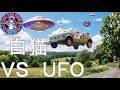 Anime Cafe■白猫 VS UFO 地球を守るために立ち上がった白猫ぽっぽ君【白猫 柴犬 メイド】