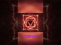 Root Chakra Physiology: How Survival Stress Affects Your Nervous System &amp; Body