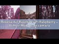 Reseña del Raspberry Pi Raspberry – Pi Noir Módulo de cámara v2.1 8 MP 1080p