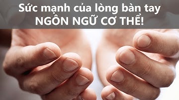 Sức mạnh của lòng bàn tay - Ngôn ngữ cơ thể | Phuong Smith
