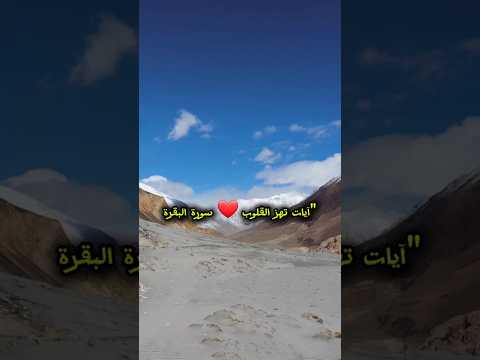 آيات تهز القلوب من سورة البقرة تلاوة خاشعة تريح النفس وتشرح الصدر قرآن