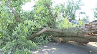 Elkhart County residents urged to report storm damage from June 11 to Indiana 211