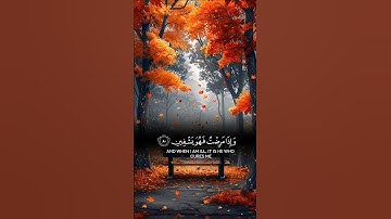 القران الكريم شفاء الصدور 🌿🌿🌿🌿🌿🌿#shortvideo #اكسبلور #القران #like