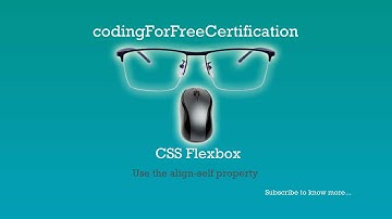CSS Flexbox | Create Visual Balance Using the text-align Property | freeCodeCamp | 17 of 17
