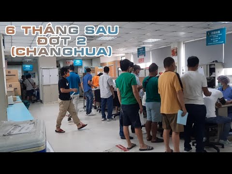 Video Hết 6 Tháng Lại Phải Đi Khám Sức Khỏe Định Kỳ Bên Đài... - YouTube