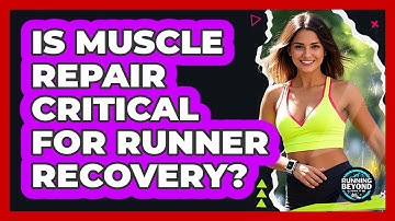Is Muscle Repair Critical For Runner Recovery?